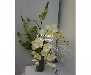 white orchids with coral
